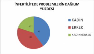 ivf bilgilendirme